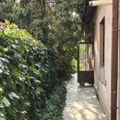 Bistroul Ceai la Vlaicu