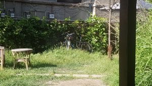 Ceai la Vlaicu, ceainarie boema in Bucuresti