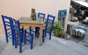 Clienti evaluand serviciile intr-un restaurant 2