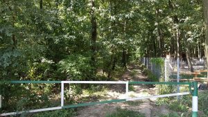 La Muma Padurii, restaurant cu terasa in padure la Edenland Park in Balotesti