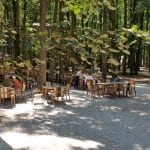 La Muma Padurii, restaurant cu terasa in padure la Edenland Park in Balotesti