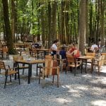 La Muma Padurii, restaurant cu terasa in padure la Edenland Park in Balotesti