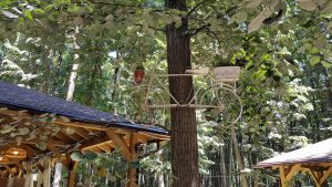 La Muma Padurii, restaurant cu terasa in padure la Edenland Park in Balotesti