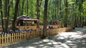 La Muma Padurii, restaurant cu terasa in padure la Edenland Park in Balotesti