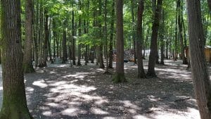 La Muma Padurii, restaurant cu terasa in padure la Edenland Park in Balotesti