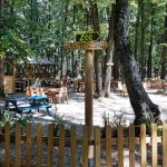 La Muma Padurii, restaurant cu terasa in padure la Edenland Park in Balotesti