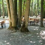 La Muma Padurii, restaurant cu terasa in padure la Edenland Park in Balotesti