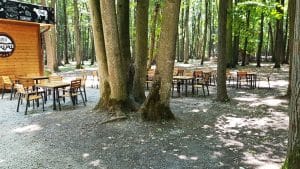 La Muma Padurii, restaurant cu terasa in padure la Edenland Park in Balotesti