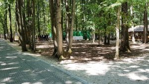 La Muma Padurii, restaurant cu terasa in padure la Edenland Park in Balotesti