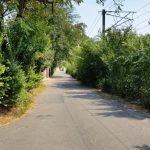 Mancare cu Staif, restaurant popular la Podul Baneasa in Bucuresti