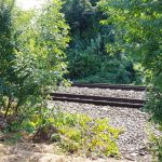 Mancare cu Staif, restaurant popular la Podul Baneasa in Bucuresti