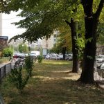 Parcul Cismigiu din Bucuresti, cu restaurantul Monte Carlo