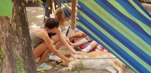 Parcul Cismigiu din Bucuresti, cu restaurantul Monte Carlo