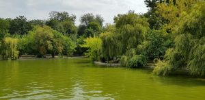 Parcul Cismigiu din Bucuresti, cu restaurantul Monte Carlo