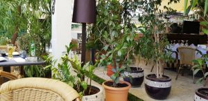 Potcoava, restaurant de evenimente cu terasa in Grozavesti