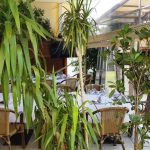 Potcoava, restaurant de evenimente cu terasa in Grozavesti