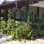 Restaurant Ferma Cocosul Rosu, sat Ghionea, comuna Ulmi, judetul Giurgiu