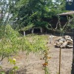 Restaurant Ferma Cocosul Rosu, sat Ghionea, comuna Ulmi, judetul Giurgiu