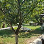 Restaurant Ferma Cocosul Rosu, sat Ghionea, comuna Ulmi, judetul Giurgiu