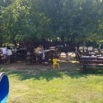 Restaurant Ferma Cocosul Rosu, sat Ghionea, comuna Ulmi, judetul Giurgiu