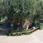Restaurant Ferma Cocosul Rosu, sat Ghionea, comuna Ulmi, judetul Giurgiu