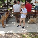 Restaurant Ferma Cocosul Rosu, sat Ghionea, comuna Ulmi, judetul Giurgiu