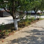 Restaurant Ferma Cocosul Rosu, sat Ghionea, comuna Ulmi, judetul Giurgiu