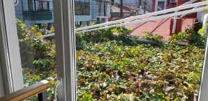 S Point Coffee and Stuff, cafenea aproape de Piata Dorobantilor