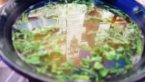 Vibes 19, restaurant cu bucatarie urbana moderna in Centrul Vechi