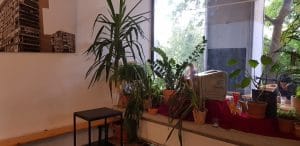 Artichoke Coffee Shop, cafenea boema pe Calea Victoriei la Biserica Kretzulescu