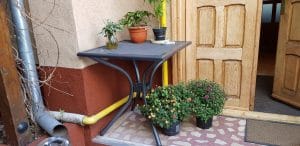 Capriccio, restaurant italian pe strada Icoanei, care permite anumale de companie