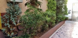 Capriccio, restaurant italian pe strada Icoanei, care permite anumale de companie