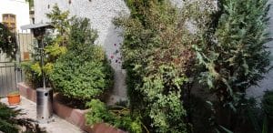 Capriccio, restaurant italian pe strada Icoanei, care permite anumale de companie