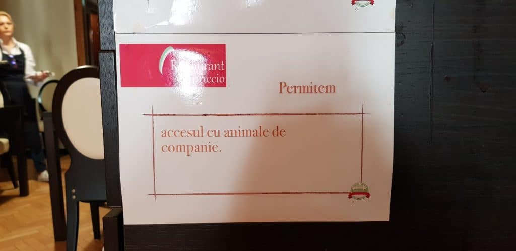 Capriccio, restaurant italian pe strada Icoanei, care permite anumale de companie