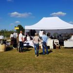 Festivalul Vinului Moldovei in Romania, Lagoo in Snagov 2018