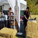 Festivalul Vinului Moldovei in Romania, Lagoo in Snagov 2018