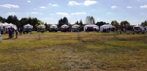 Festivalul Vinului Moldovei in Romania, Lagoo in Snagov 2018