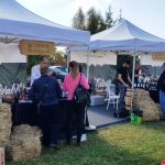 Festivalul Vinului Moldovei in Romania, Lagoo in Snagov 2018