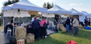 Festivalul Vinului Moldovei in Romania, Lagoo in Snagov 2018