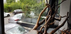 KAIAMO, restaurant cu Noua bucatarie creativa romaneasca