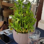Pasta Restaurant, restaurant de paste pe Calea Victoriei in Centrul Vechi