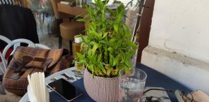 Pasta Restaurant, restaurant de paste pe Calea Victoriei in Centrul Vechi