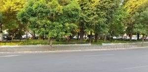 Piata Dorobantilor cu parculetul din Rond si Ai Sushi Bar