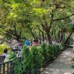 Trattoria Monza, restaurant italian popular in Balta Alba din Bucuresti