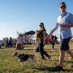 Festivalul Vinului Moldovei