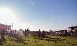 Festivalul Vinului Moldovei