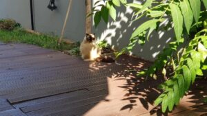 Gustosi Momenti, restaurant sicilian traditional in Bucuresti