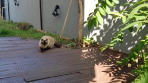 Gustosi Momenti, restaurant sicilian traditional in Bucuresti