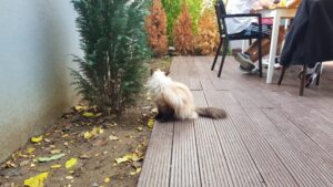 Gustosi Momenti, restaurant sicilian traditional in Bucuresti