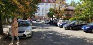 Strada Monetariei cu restaurantul Gargantua KSLF si Clubul Taranului MTR